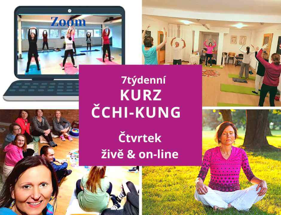 CCHIKUNGCT