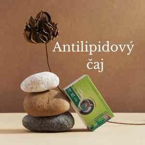 Jarní restart - Antilipidový čaj