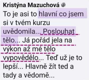 Reference_3klice_Stres_Cchikung_MonChi